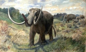 Mastodon (via Wikipedia)